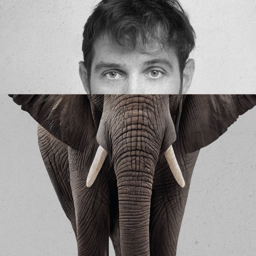 poster_Elephant_Man_33X48_draf_5