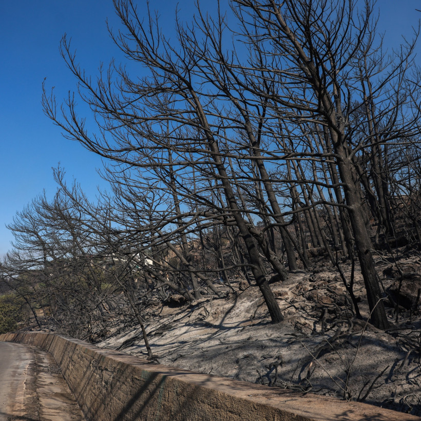 ΠΥΡΚΑΓΙΑ ΣΤΗΝ ΙΕΡΑΠΕΤΡΑ / 2η ΗΜΕΡΑ   
(ΣΤΕΦΑΝΟΣ ΡΑΠΑΝΗΣ/EUROKINISSI)