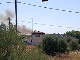 Φωτιά Οινόφυτα