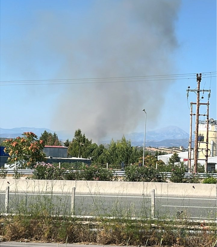 Φωτιά Οινόφυτα