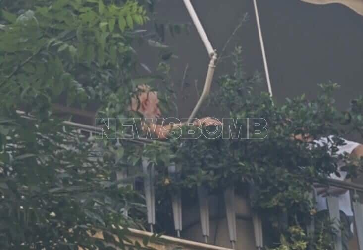 Φωτιά Φιλιππίδης