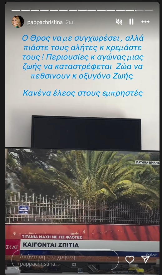 Φωτιά στην Αττική: Δημόσιο ξέσπασμα από τη Χριστίνα Παππά - «Πιάστε τους αλήτες και κρεμάστε τους» christina-pappa-foties.jpg