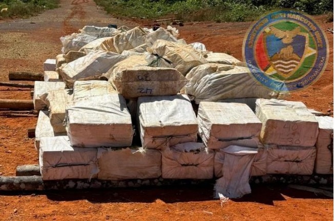 Guyana-coca.jpg