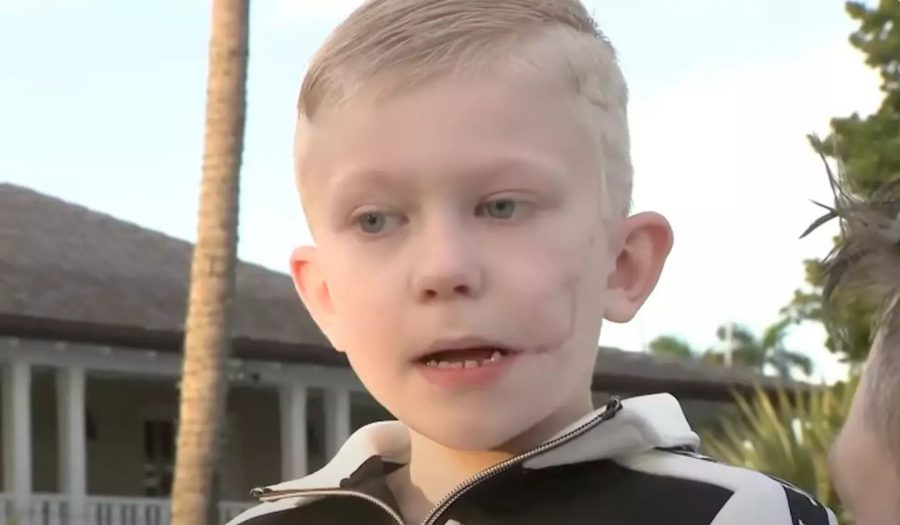 Bridger is being hailed a hero (YouTube/WPLG Local 10)