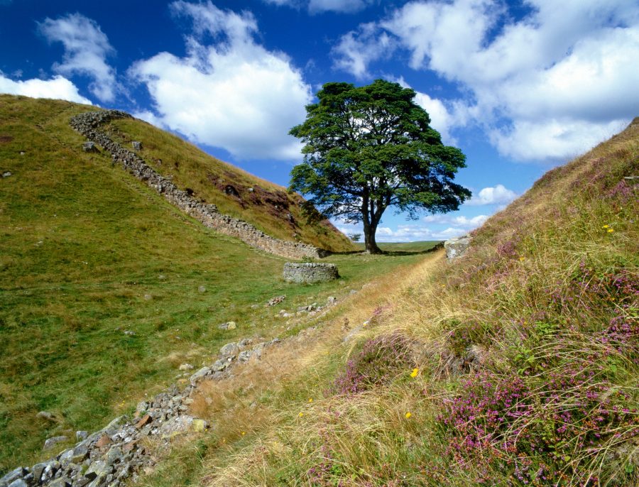 Sycamore Gap