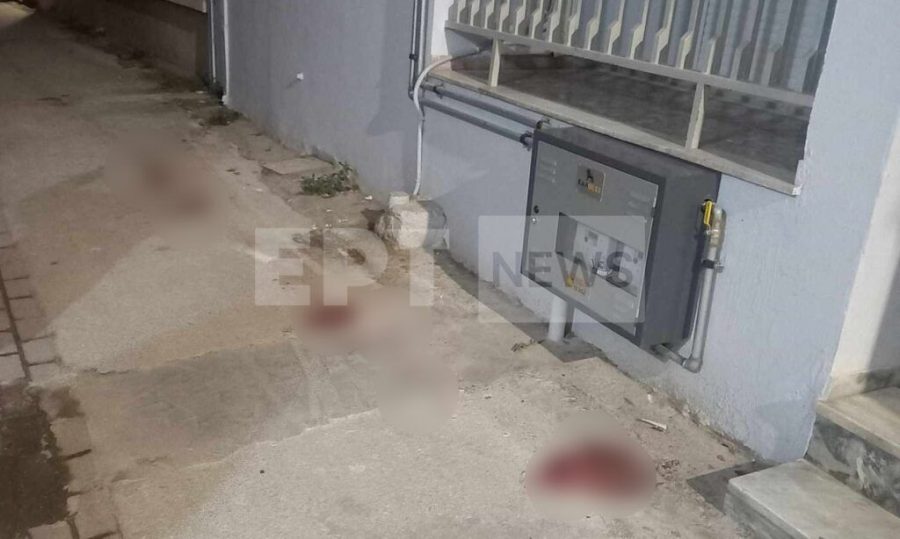 Τραγωδία στη Λάρισα: Ομολόγησε ο 21χρονος την δολοφονία της 52χρονης μητέρας του