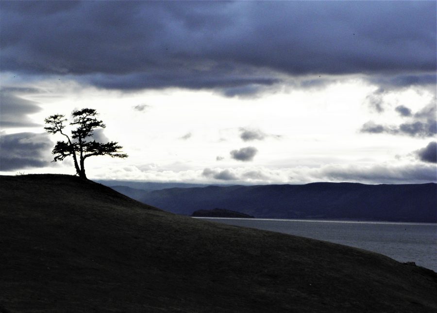 2.-Invisible-World-still.jpg