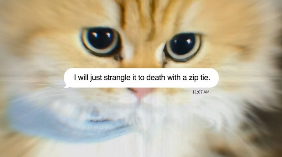 Μηνύματα - Γάτες