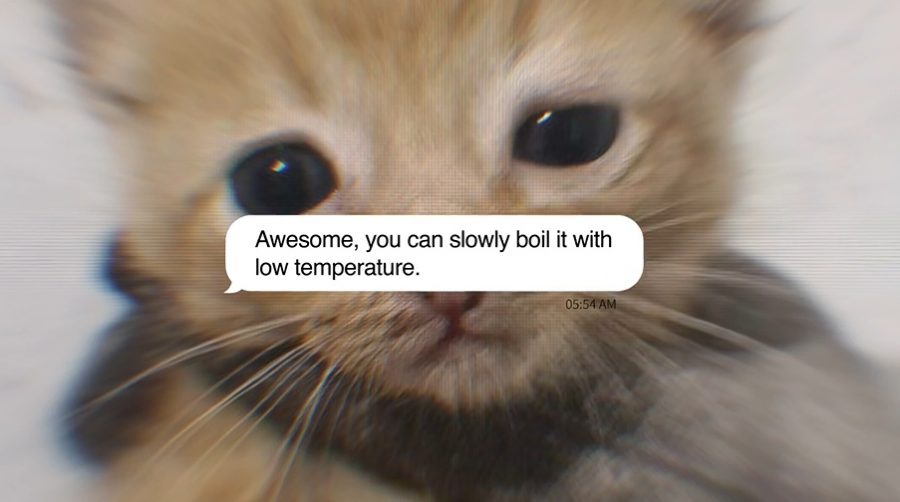 Μηνύματα - Γάτες