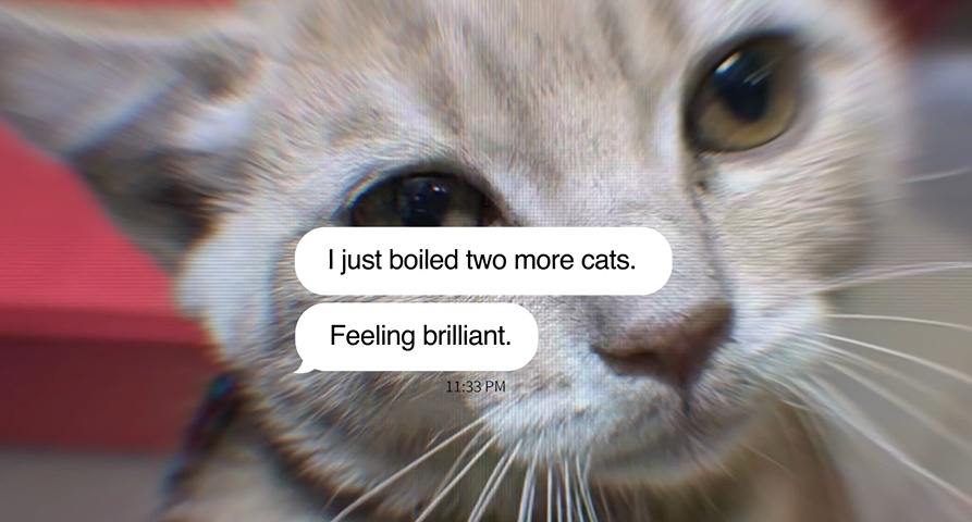 Μηνύματα - Γάτες