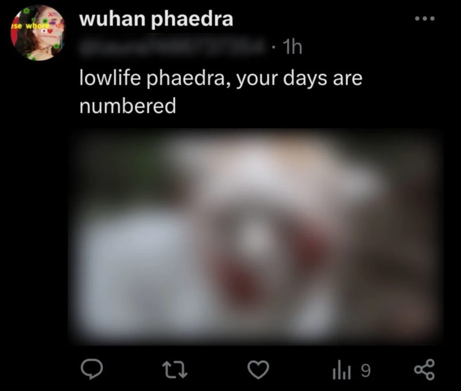 Φαίδρα - Γάτες