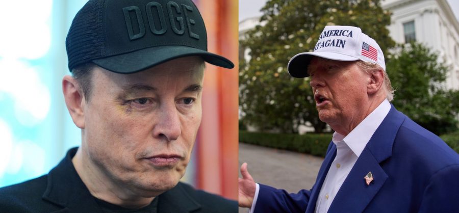 merge musk trump.jpg