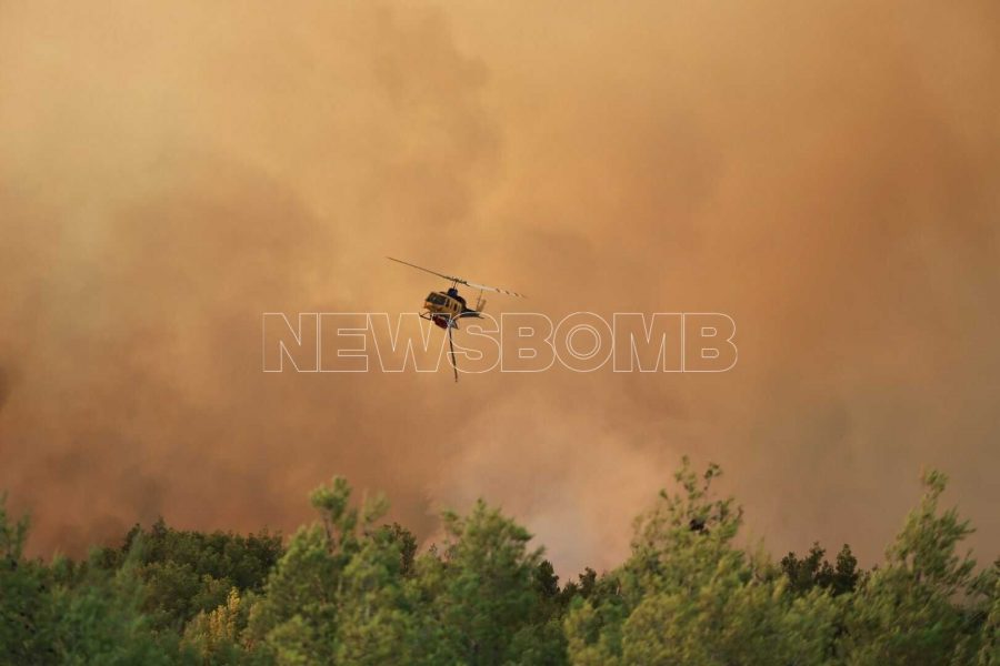 Φωτιά Ωρωπός