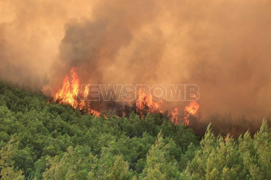 Φωτιά Ωρωπός