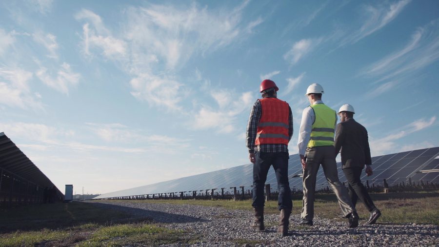 Technician,Walks,With,Workman,And,Investor,Through,Field,Of,Solar
