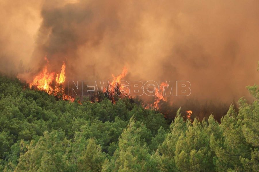 Φωτιά Ωρωπός