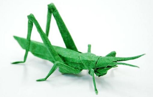 entomo_1