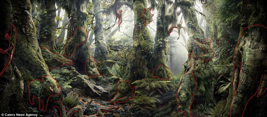 zwa_2458969586965865