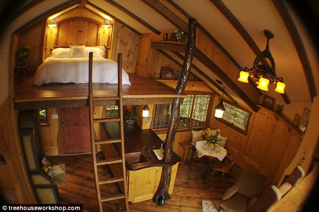 dentro2