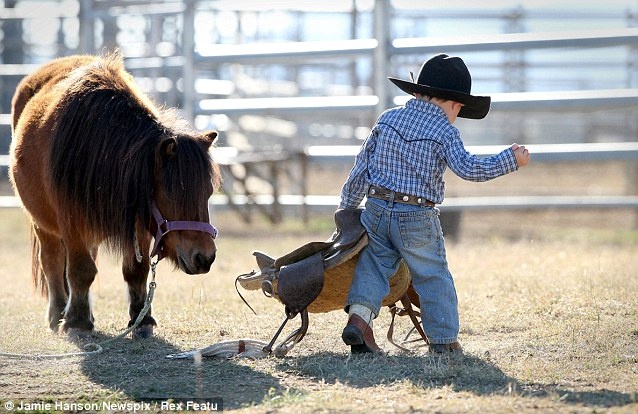 cowboy3