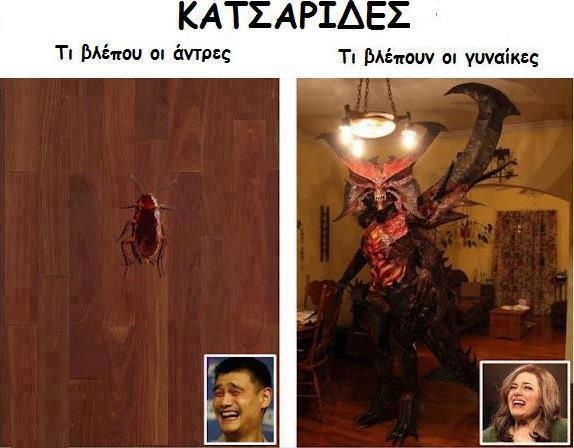 600294_10150895215913884_1149163314_n