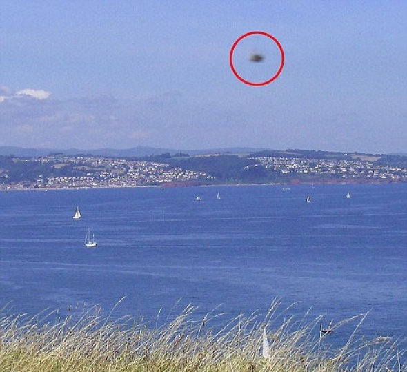 590_e12d34980ed7e9fb096778c38e9814db