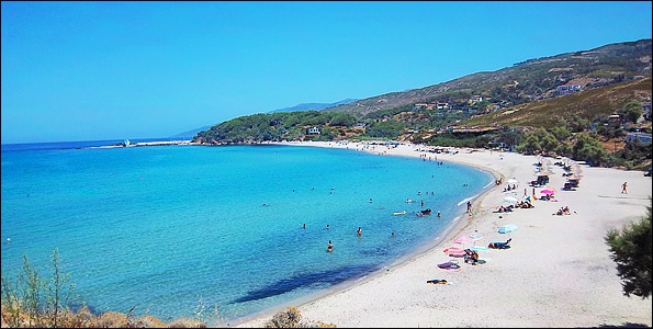 mesaktiikaria