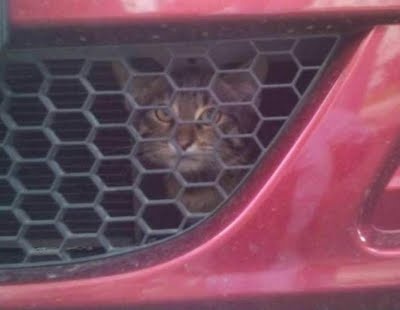 riddle_of_the_day_640_03