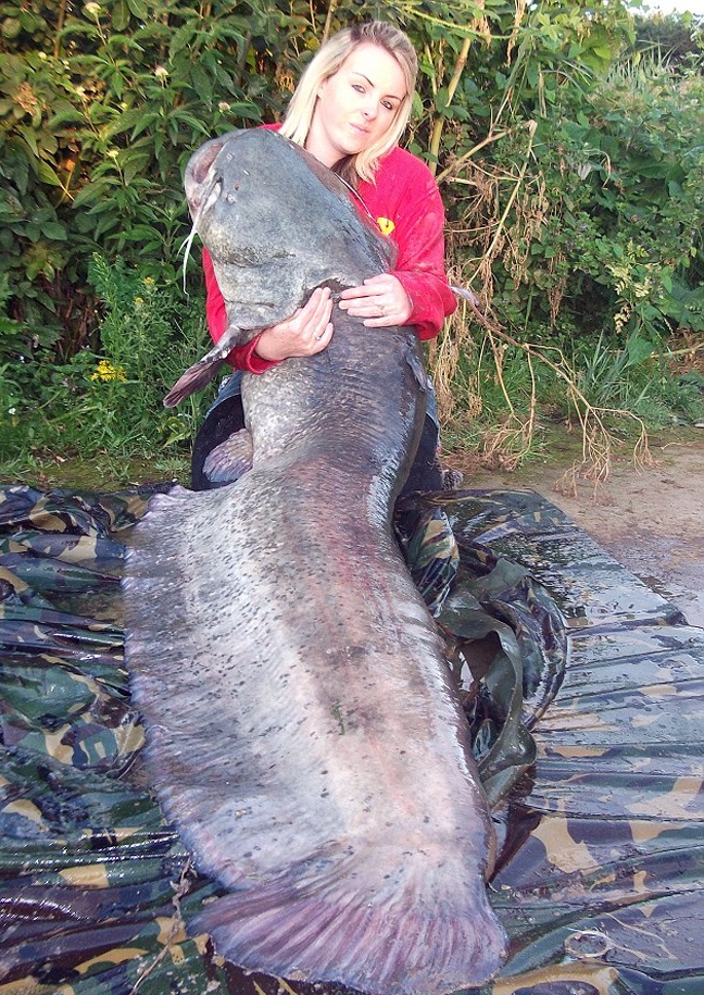 psari847487447844444