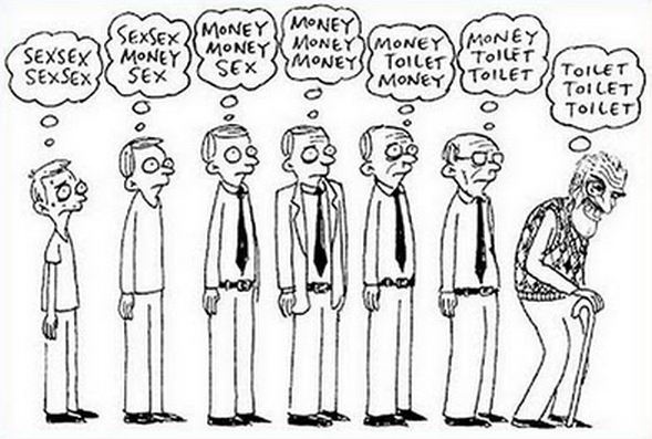 exelixi290546895684956546