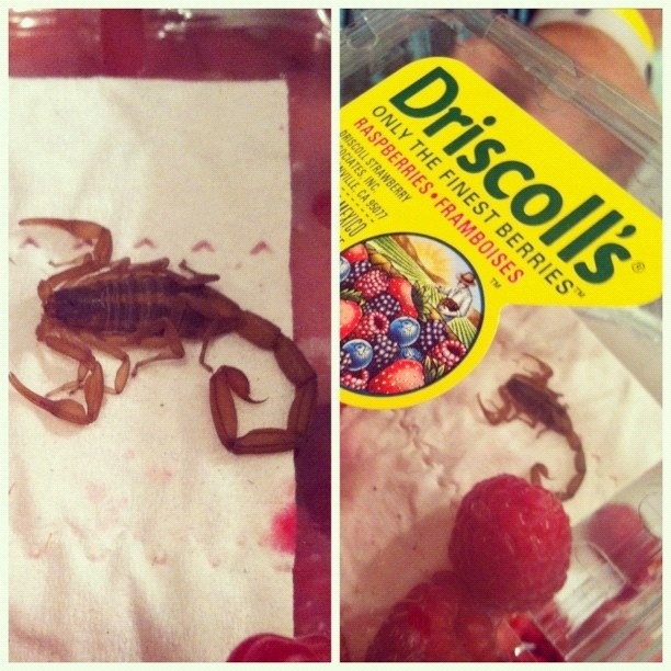 enhanced-buzz-19331-1349318772-5