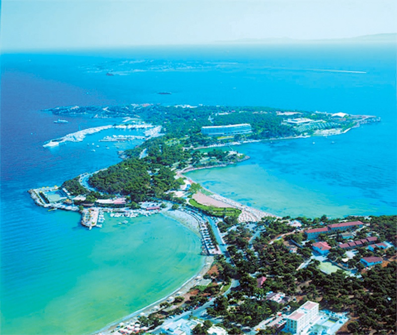 assets LARGE t 420 54020706