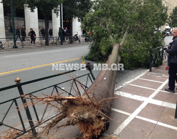 Screen Shot 2013-12-03 at 6.12.17 PM