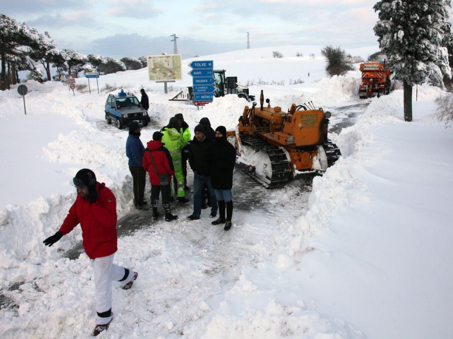 newego LARGE t 1101 54029049