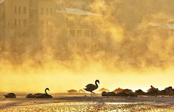 moldavas river prague