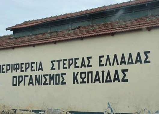 organismos-kopaidas1