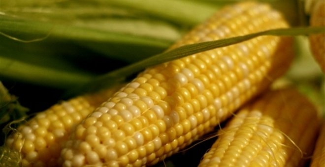 6662FC092AC5A8C604D11E971576E16A