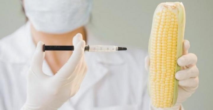 DOC.20120925.1030961.681 GMO1