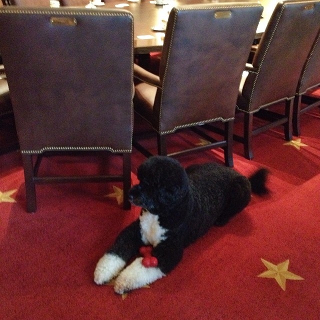 tumblr mzegiykgR91s9dnijo1 1280