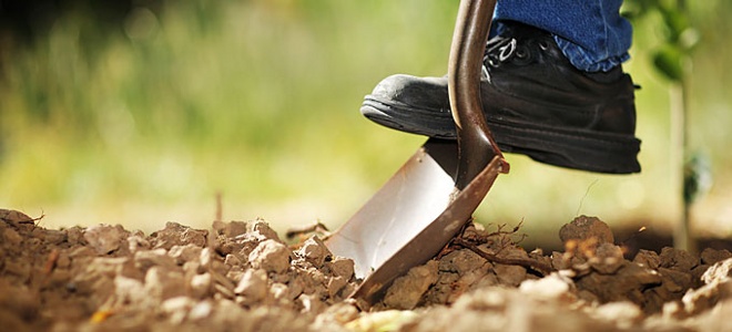 agrotiki-kalliergeia-660 1