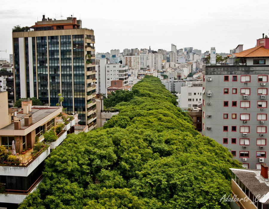 Rua-Goncalo-de-Carvalho-in-the-City-of-Porto-Alegre-Brazil-10