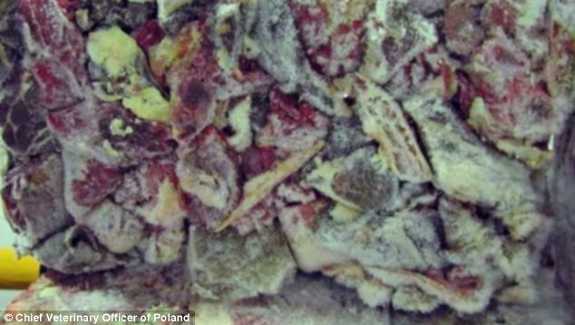 article-2567236-1BCE14D300000578-728 634x358