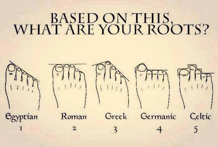 4e608fe6ad4607c1922f4a49e6526698 1