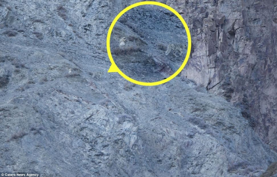 article-2594140-1CBCCADF00000578-735 972x622