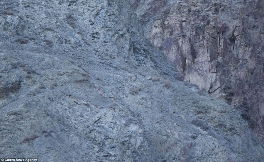 article-2594140-1CBCCB1A00000578-798 968x595