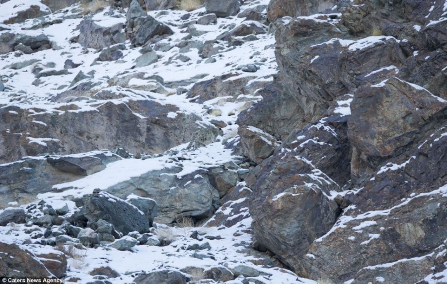 article-2594140-1CBCCB3900000578-62 968x615