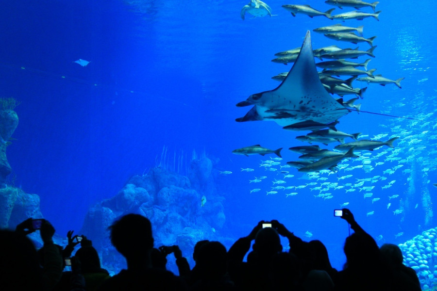 slide 343857 3575971 free