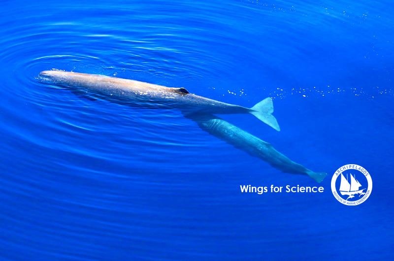 1925205 10152015922310878 1836399579 n