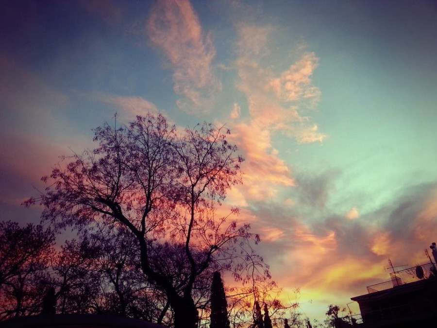 10004019 10203253217549032 1034803718 n