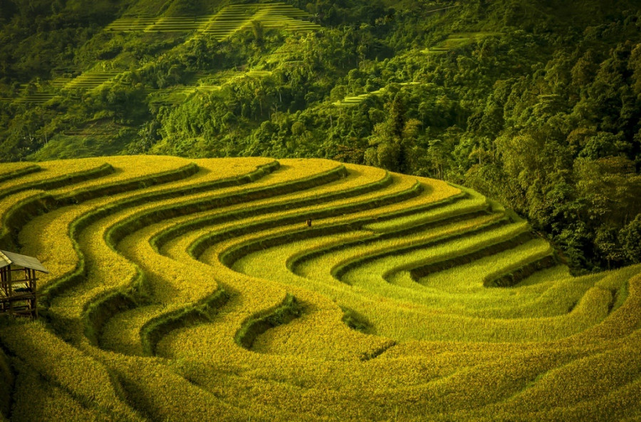 slide 345193 3605712 free